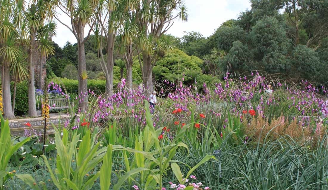 Visit Logan Botanic Garden