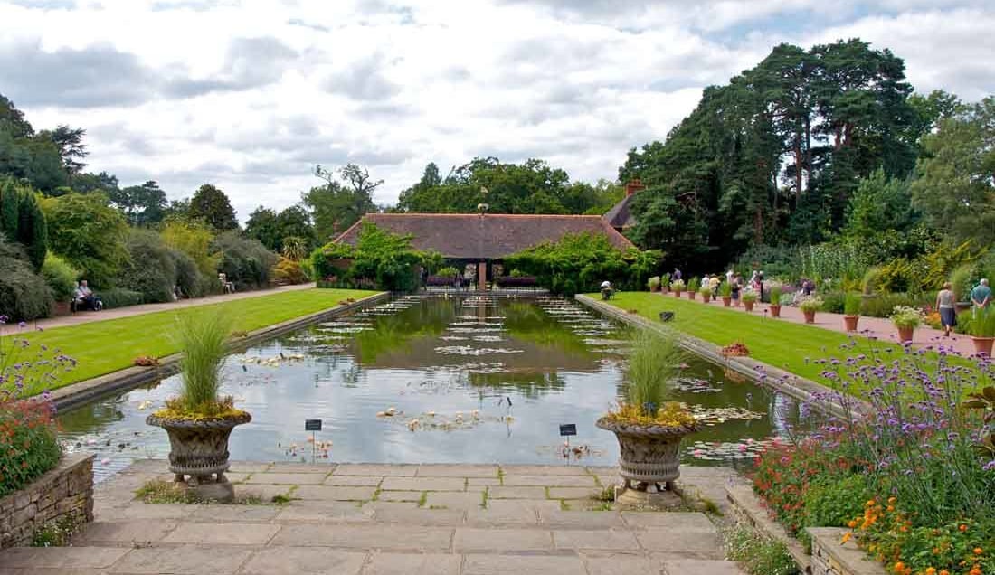 Explore Royal Horticultural Society Garden in Wisley 