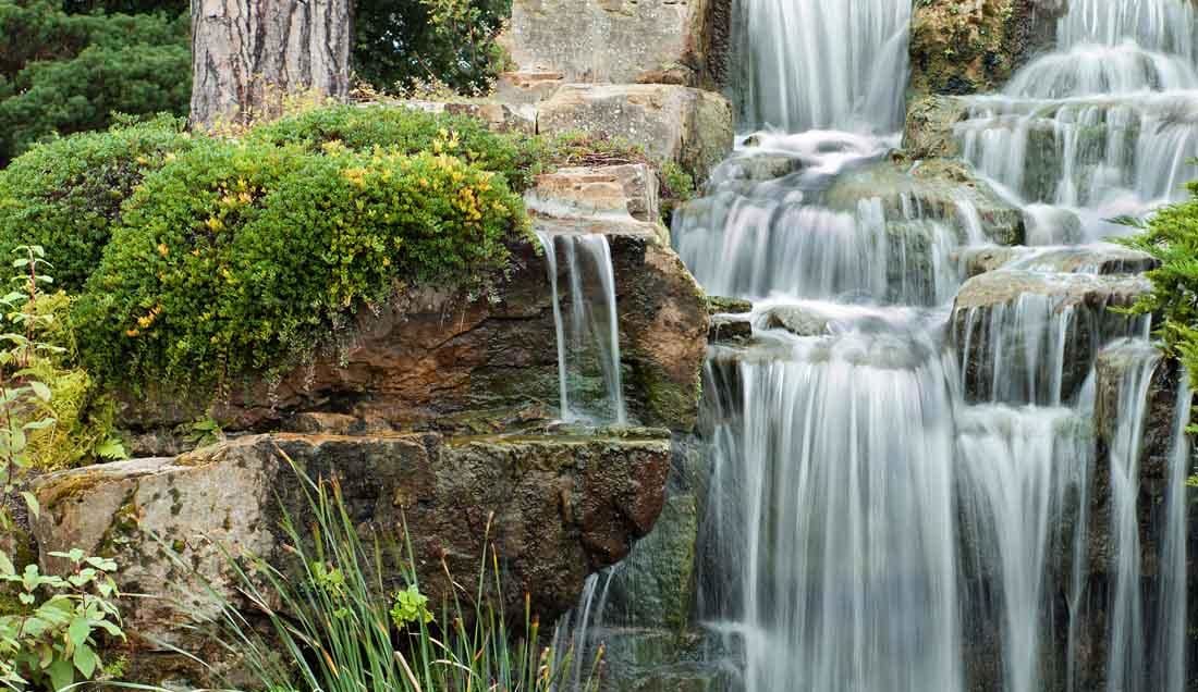 Guided Tour of of Kew Gardens 