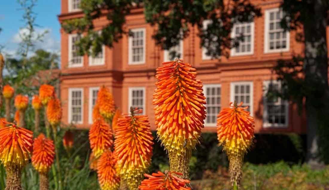 Discover Kew Palace