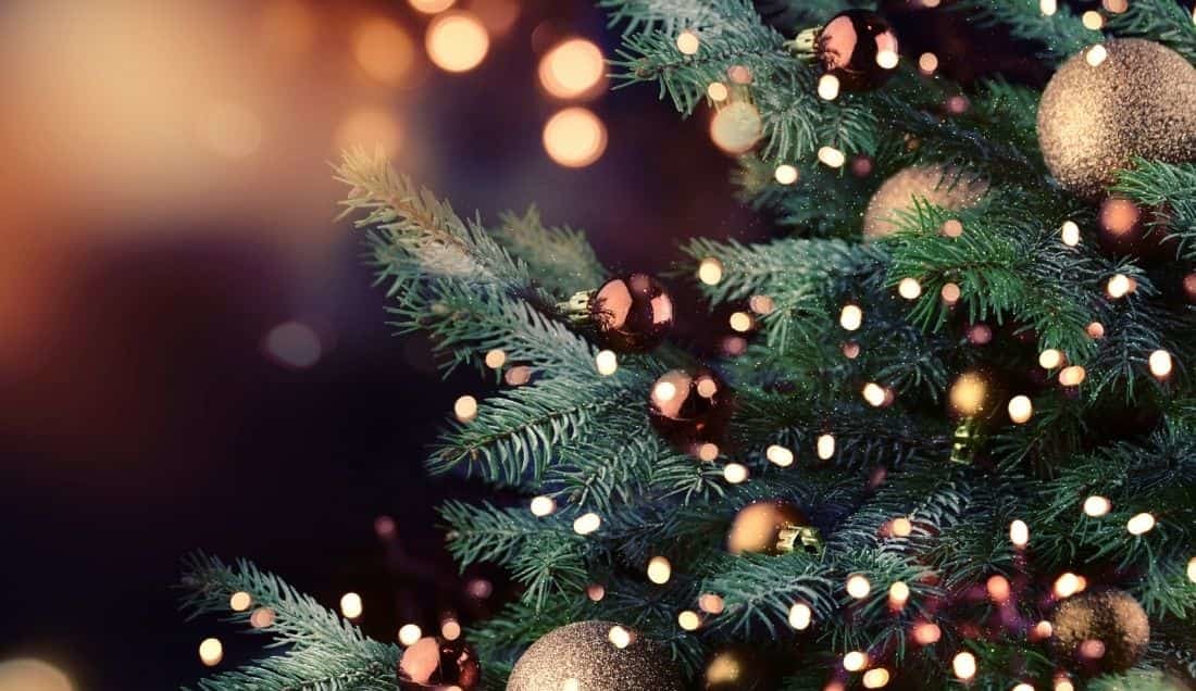 Relax on Christmas Day