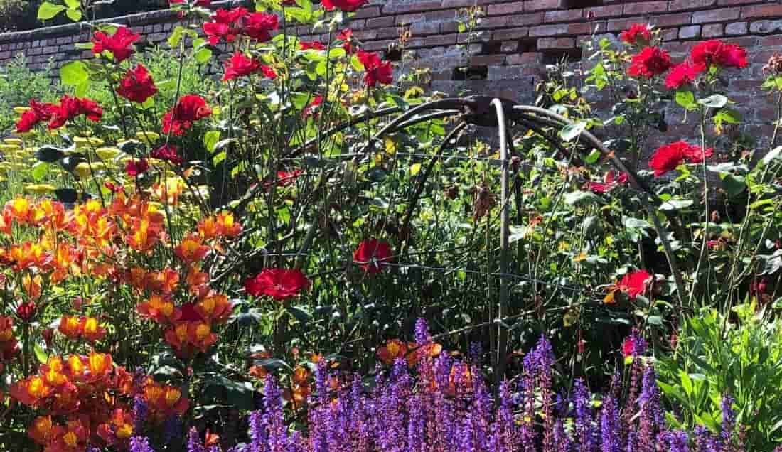 See the best gardens of Shropshire