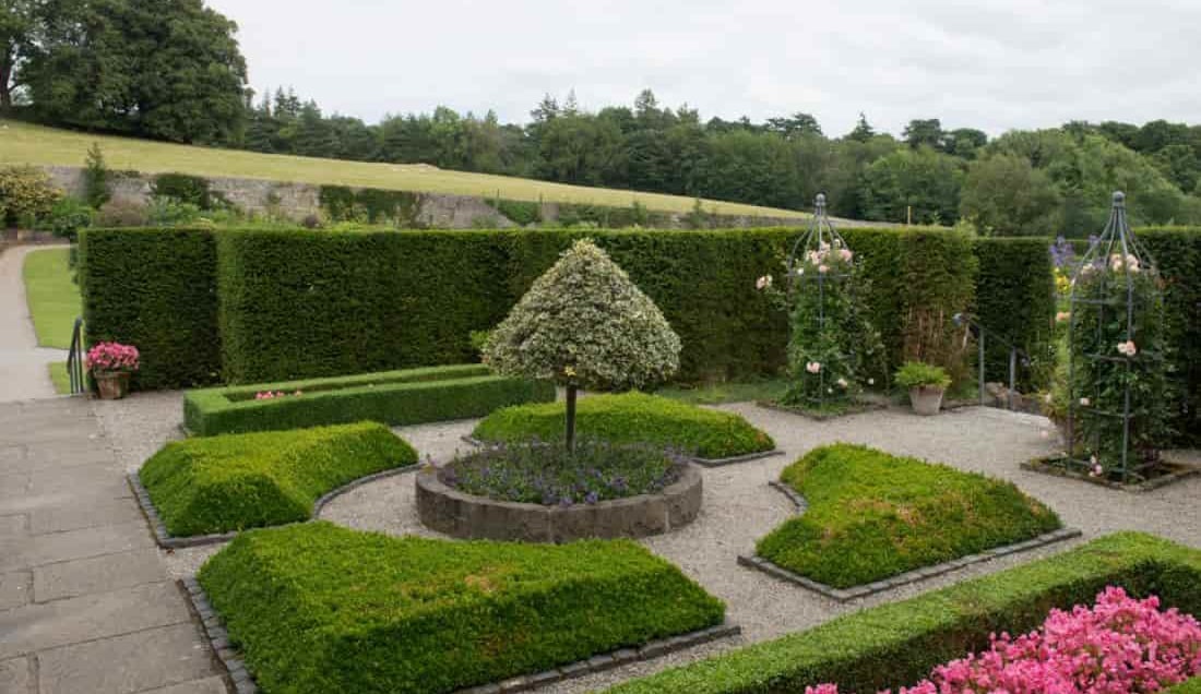 Discover Plas Cadnant