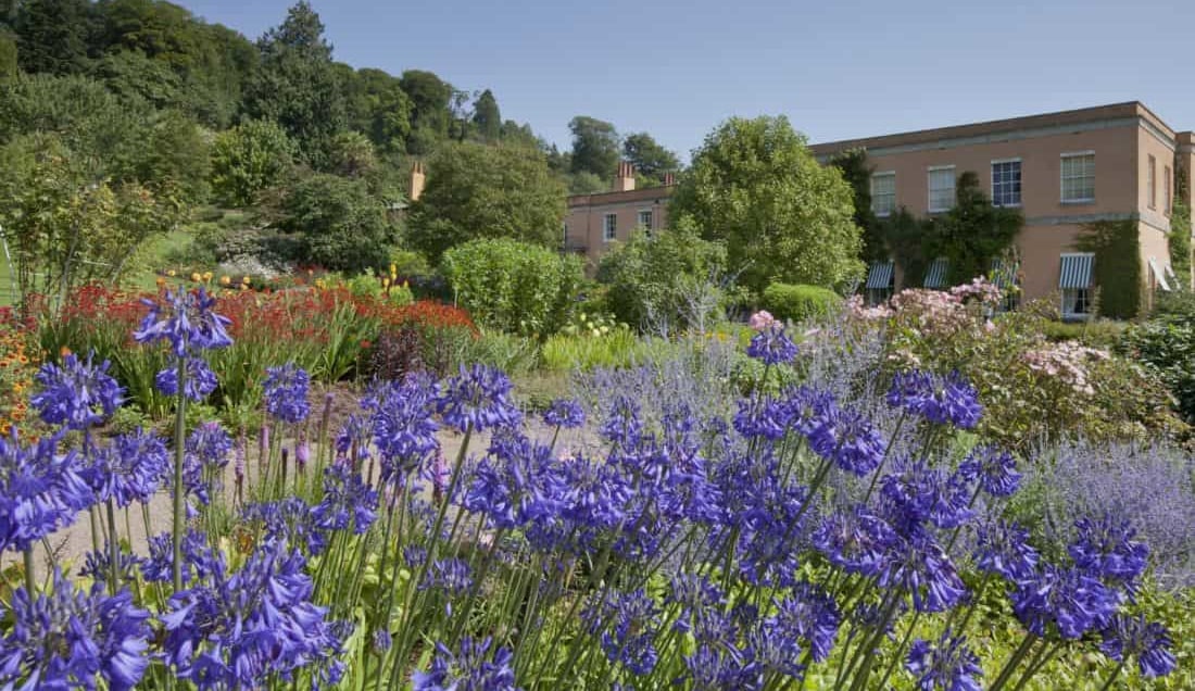 Visit Killerton House & Gardens