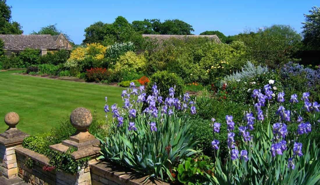 Explore Bourton House Garden
