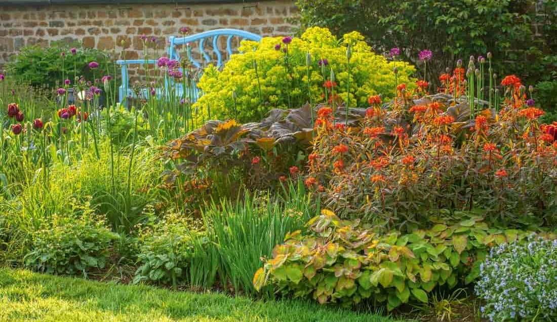 Visit Pettifers Garden