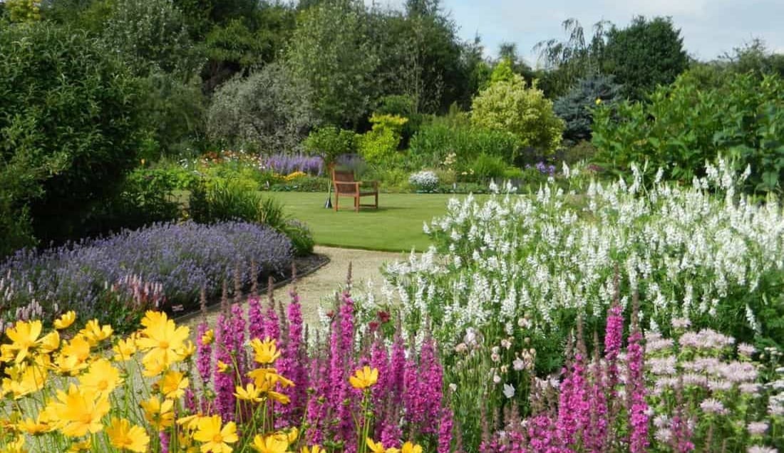 Discover Breezy Knees Gardens