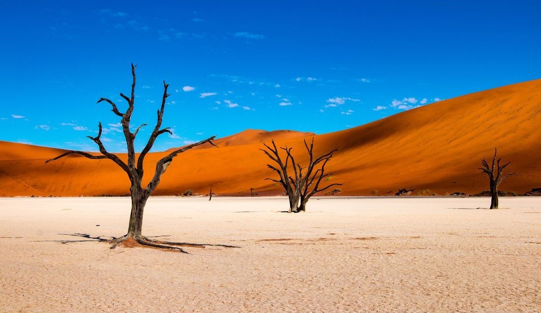 Highlights of Namibia - Unique Small Group