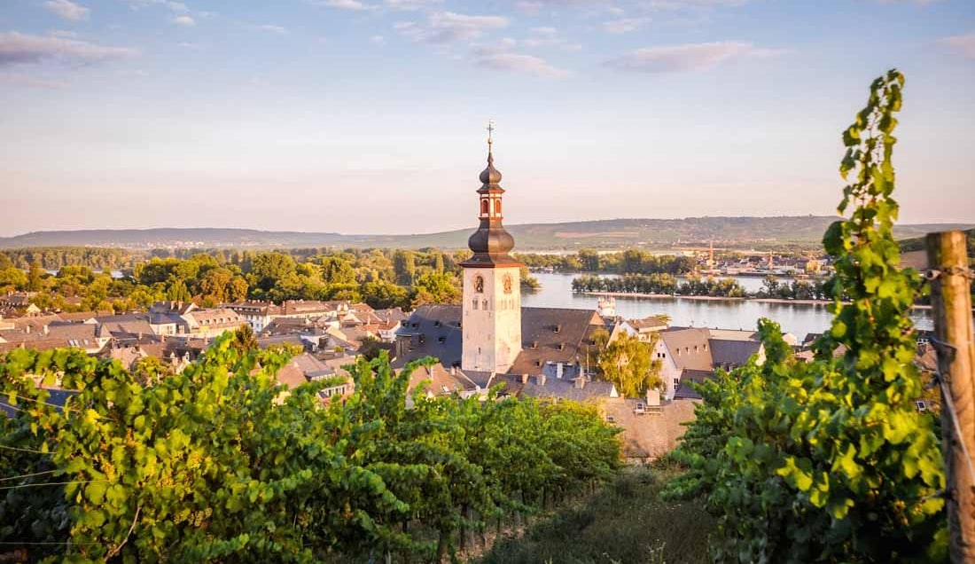 Explore Rüdesheim