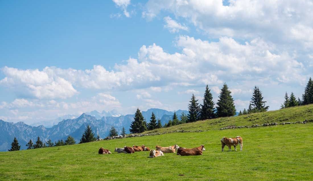 Visit Salzkammergut, famous for being a filming location for 'The Sound of Music'