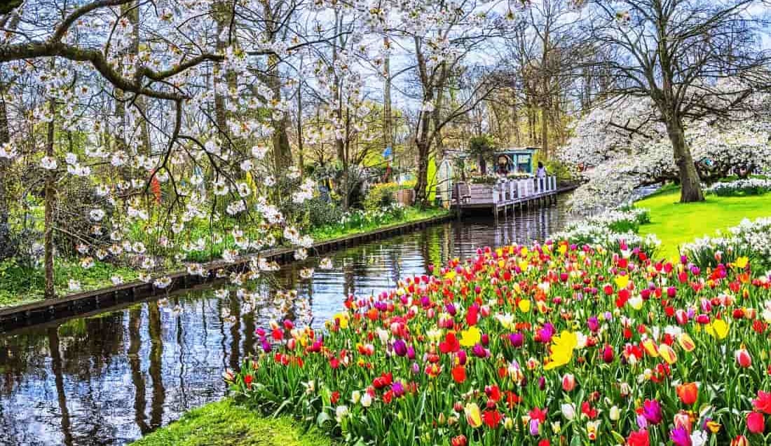 Enjoy a guided tour of Keukenhof gardens