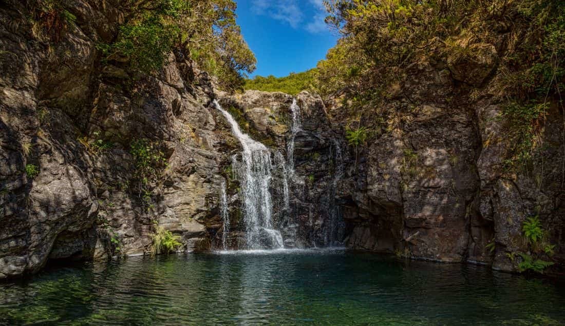 Uncover Madeira's waterfalls