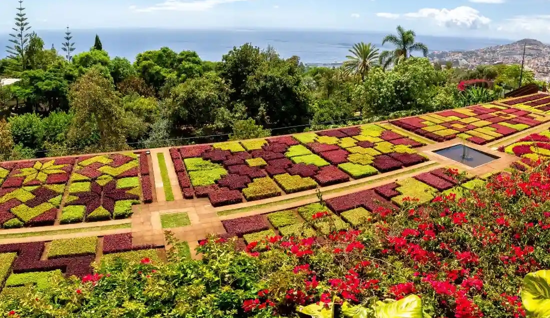 Explore the stunning Botanical gardens