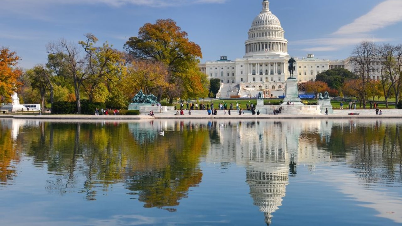 American Tours
