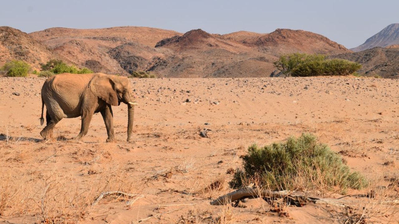Best time to go to Namibia