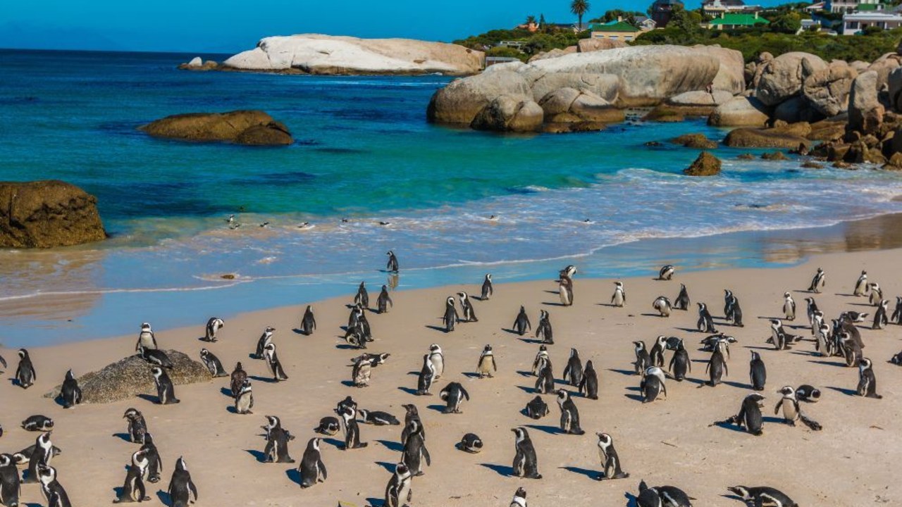 Best time to go to South Africa