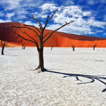 Deadvlei