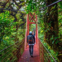 Monteverde Cloud Forest
