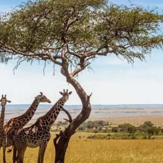 Worldwide Holidays From London