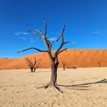 Namibia