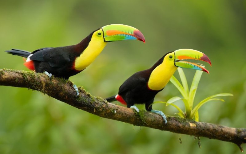 Best Places to Take Your Lifelong Friends