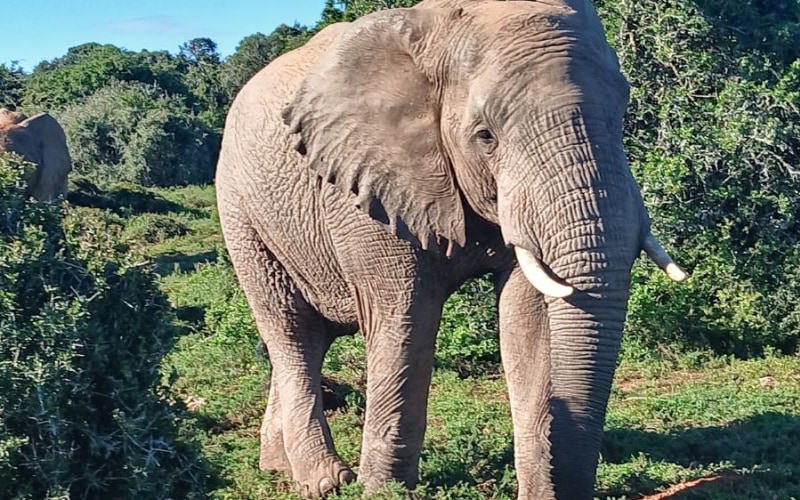 Top customer travel photos to inspire your next holiday