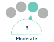 Level 3 - Moderate