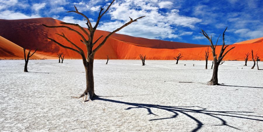 Visit Deadvlei.jpg