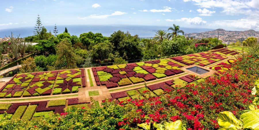 Madeira - Solo Traveller.jpg