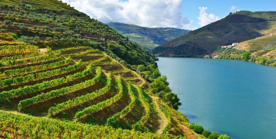 River Cruise Douro Valley.jpg