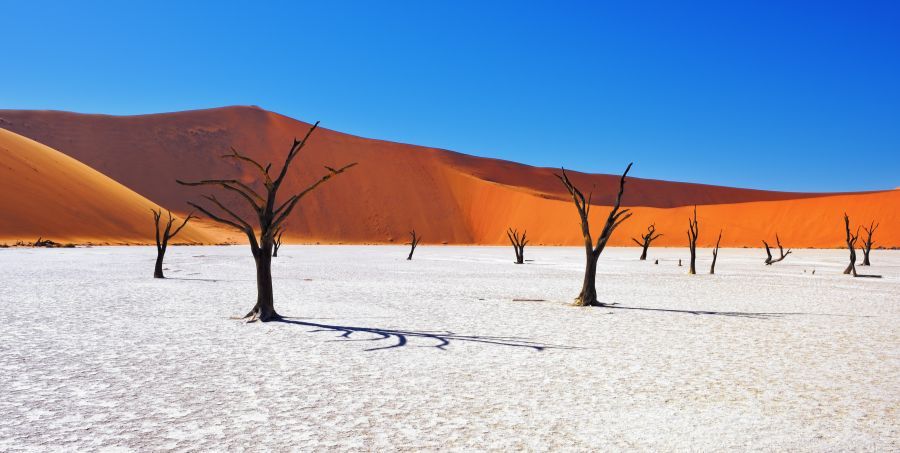Dead Vlei, Namibia - Top landscapes in the world.jpg
