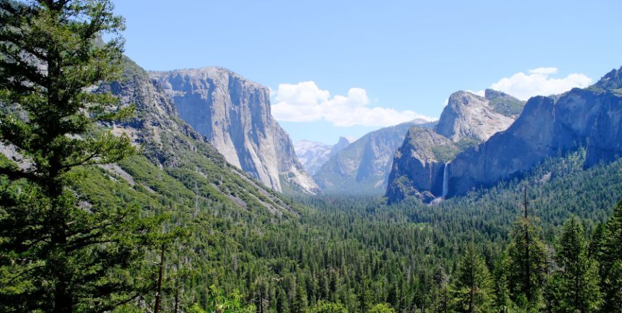 Yosemite National Park.jpg