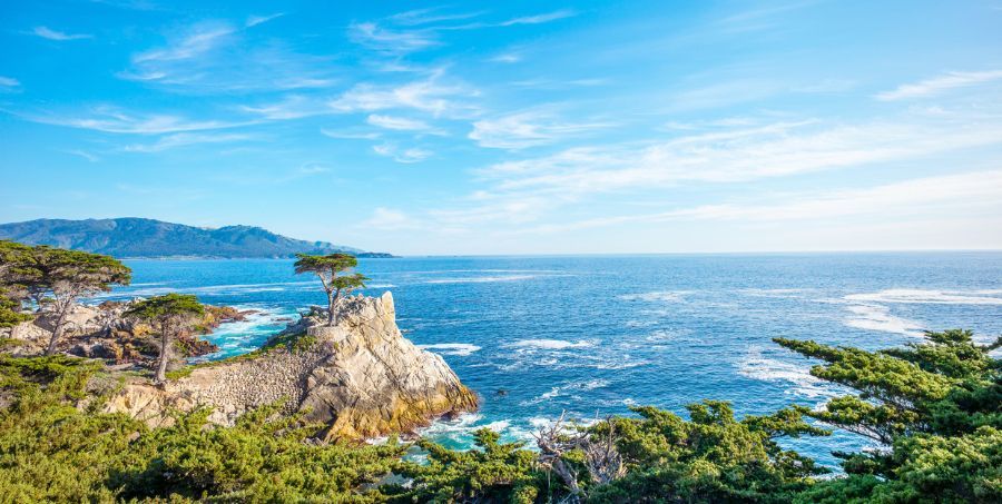 Lone Cypress, seen from the 17 Mile Drive.jpg
