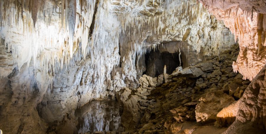 Ruakuri Caves.jpg