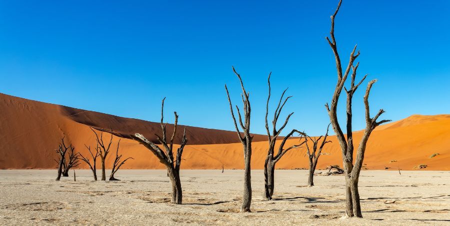 Namibia-Deadvlei.jpg