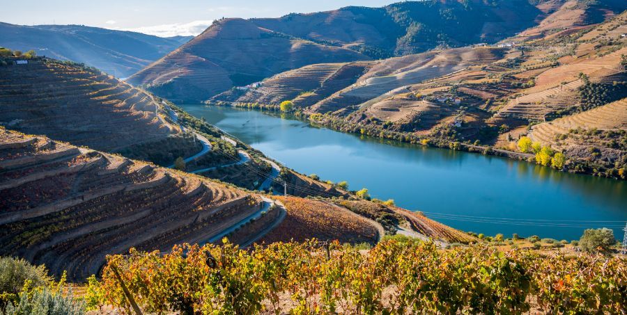 Douro-Valley.jpg