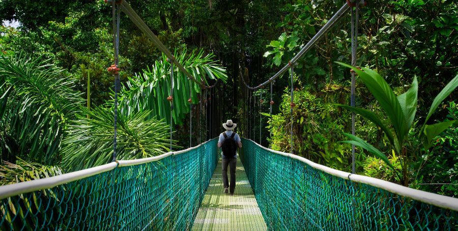 costa-rica-rainforest-hanging-bridge-eco-travel..jpg