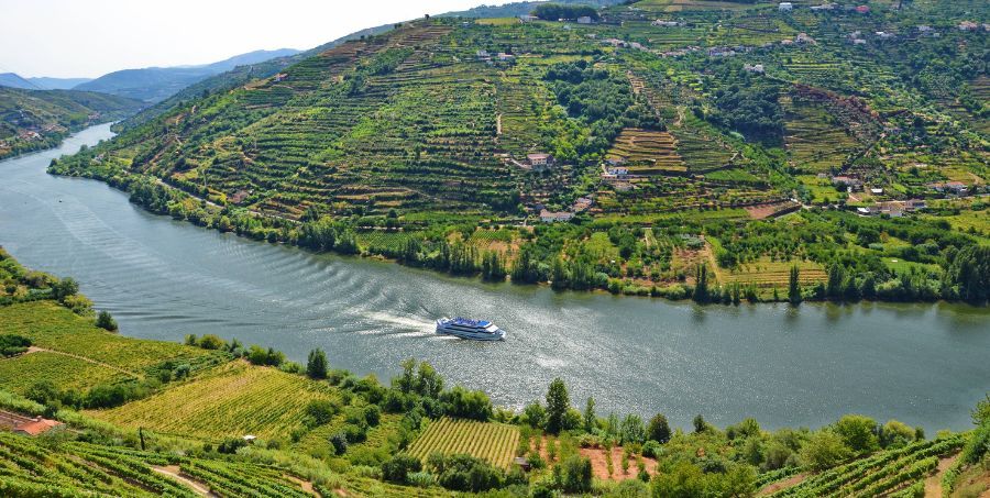 douro-valley-vineyards-river-cruise-portugal.jpg