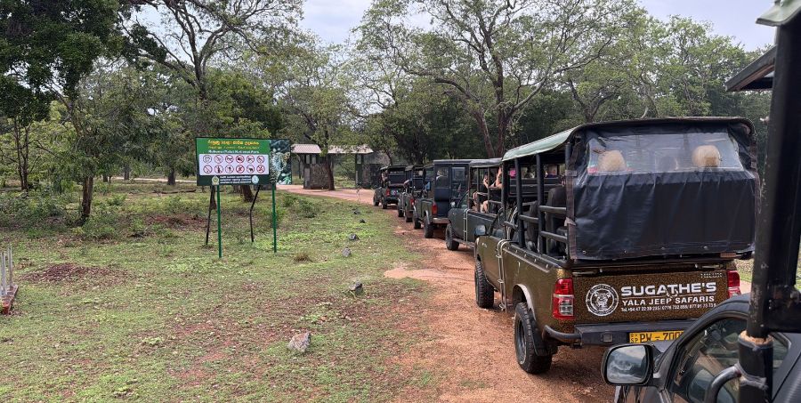 yala-national-park-entrance-safari-jeeps.jpg