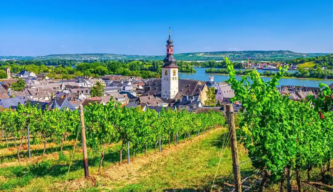 Explore the beautiful town of Rudesheim