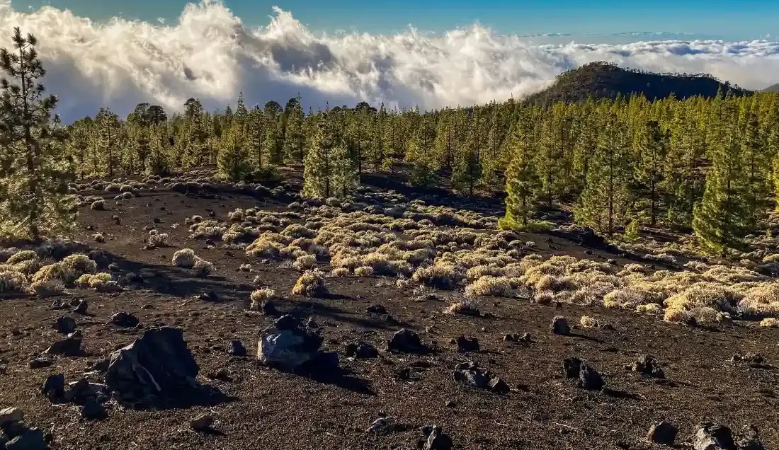 Experience the volcanic landscapes of Montana Samara