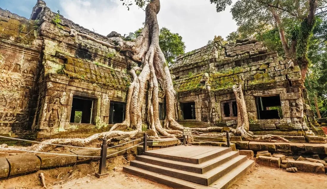 See trees intertwined with ruins at Ta Prohm