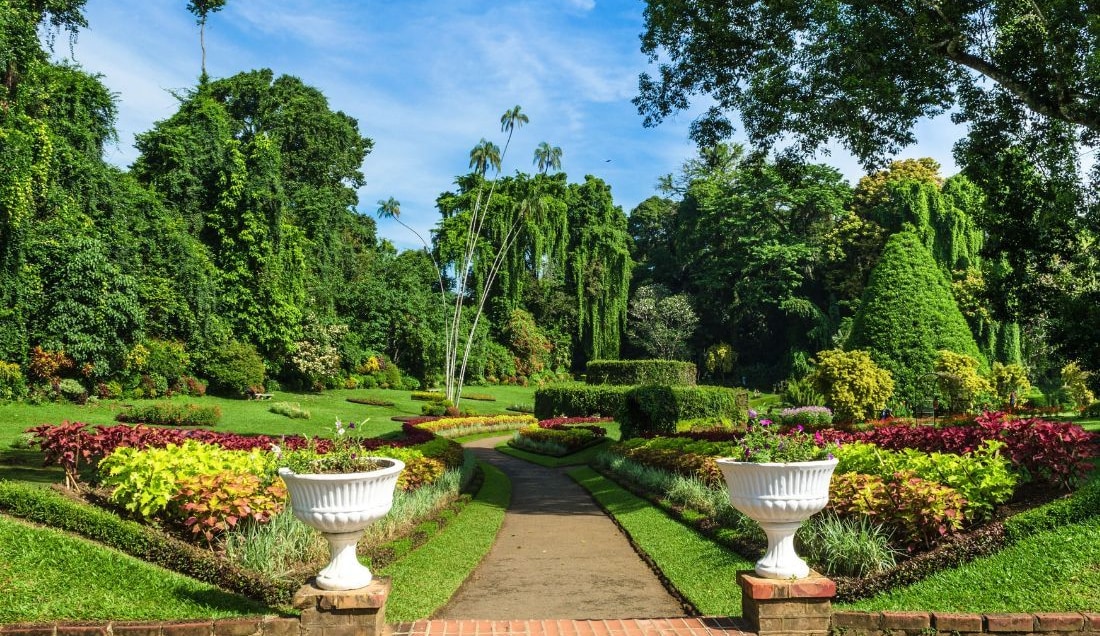Explore The Royal Botanic Gardens in Peradeniya