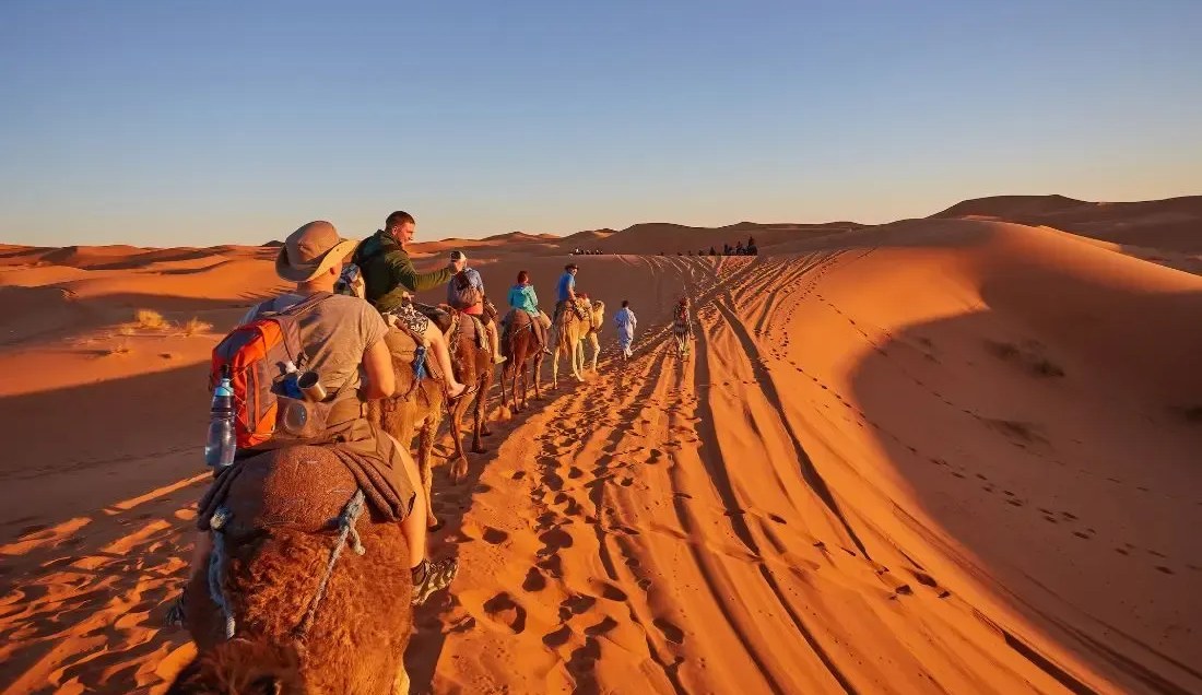 Camel Ride in the Sahara