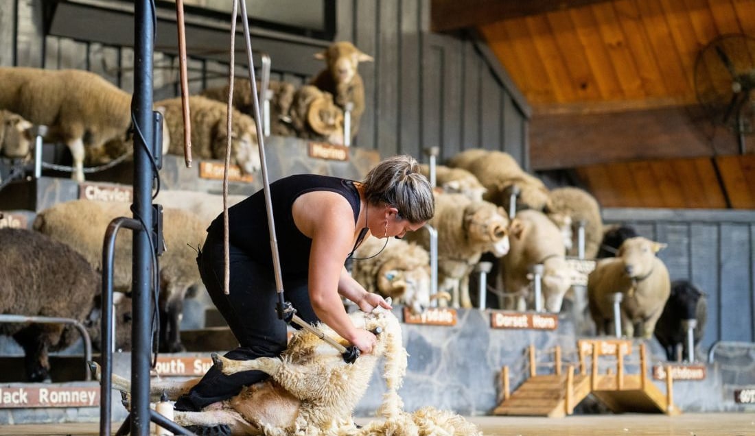 Highlights of Australia & New Zealand