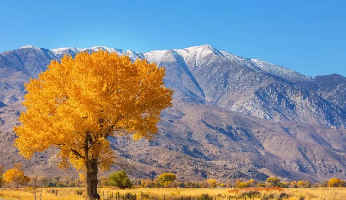 Sierra Nevada, Spain