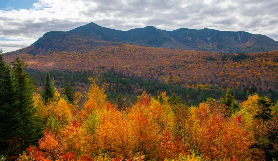 Discover the vivid colours of autumn in White Mountain National Forest.
