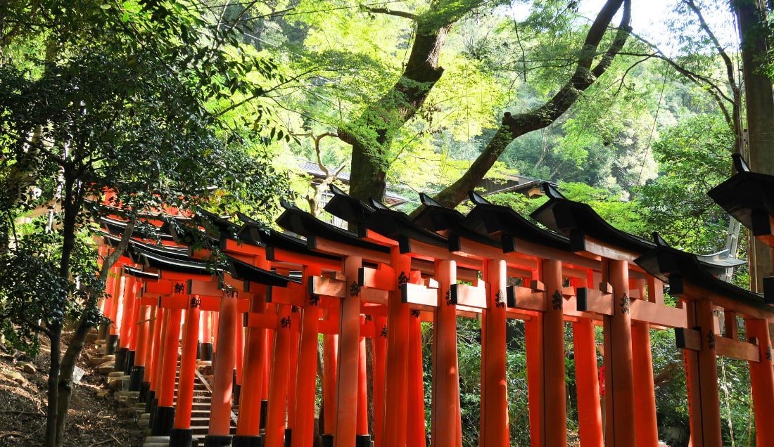 See the iconic torii gates of Fushimi Inari Shrine in Kyoto