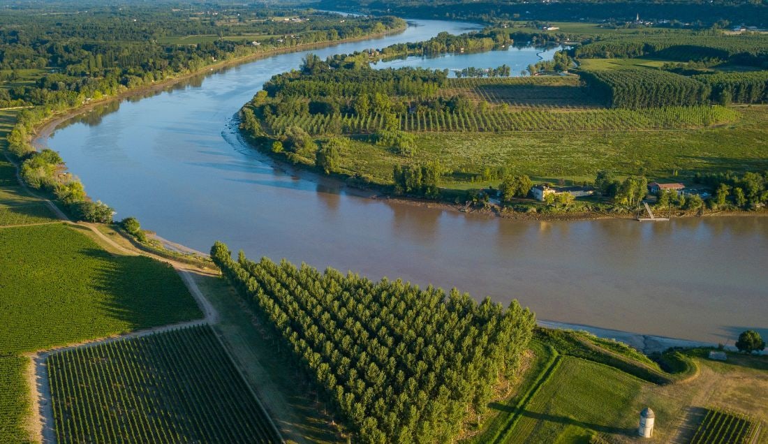 Cruise through the vineyards of the Gironde estuary