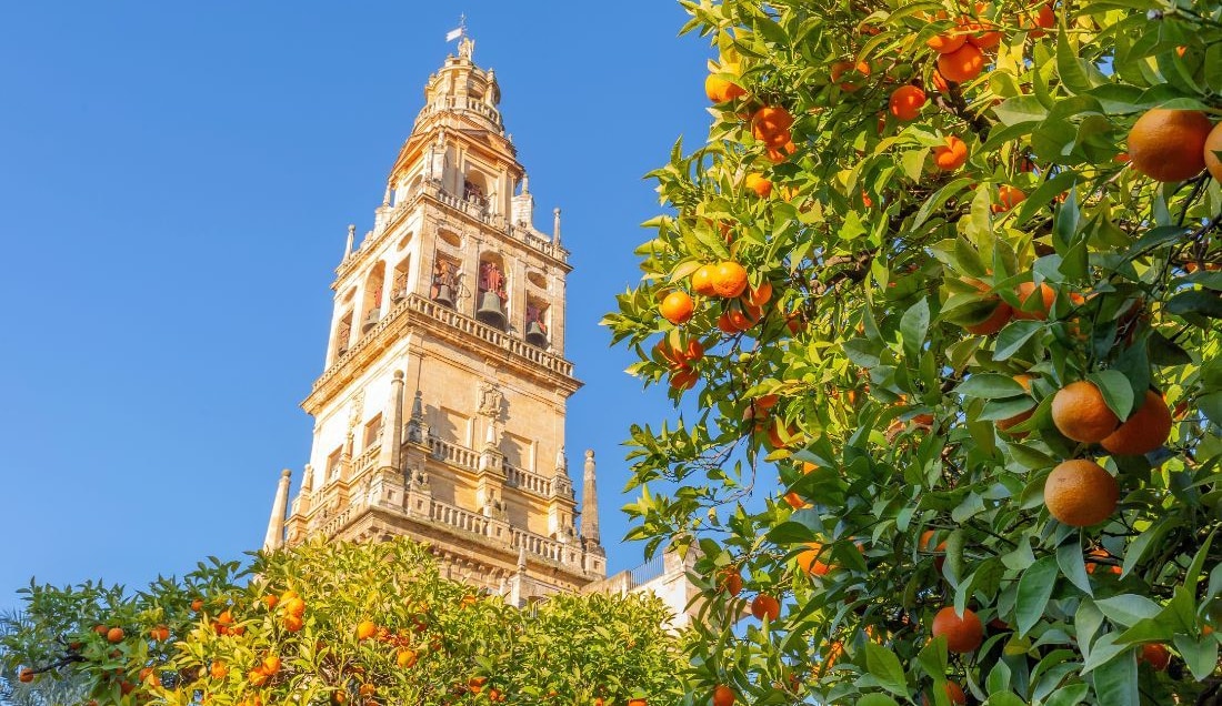 Admire La Giralda, Seville’s iconic bell tower.